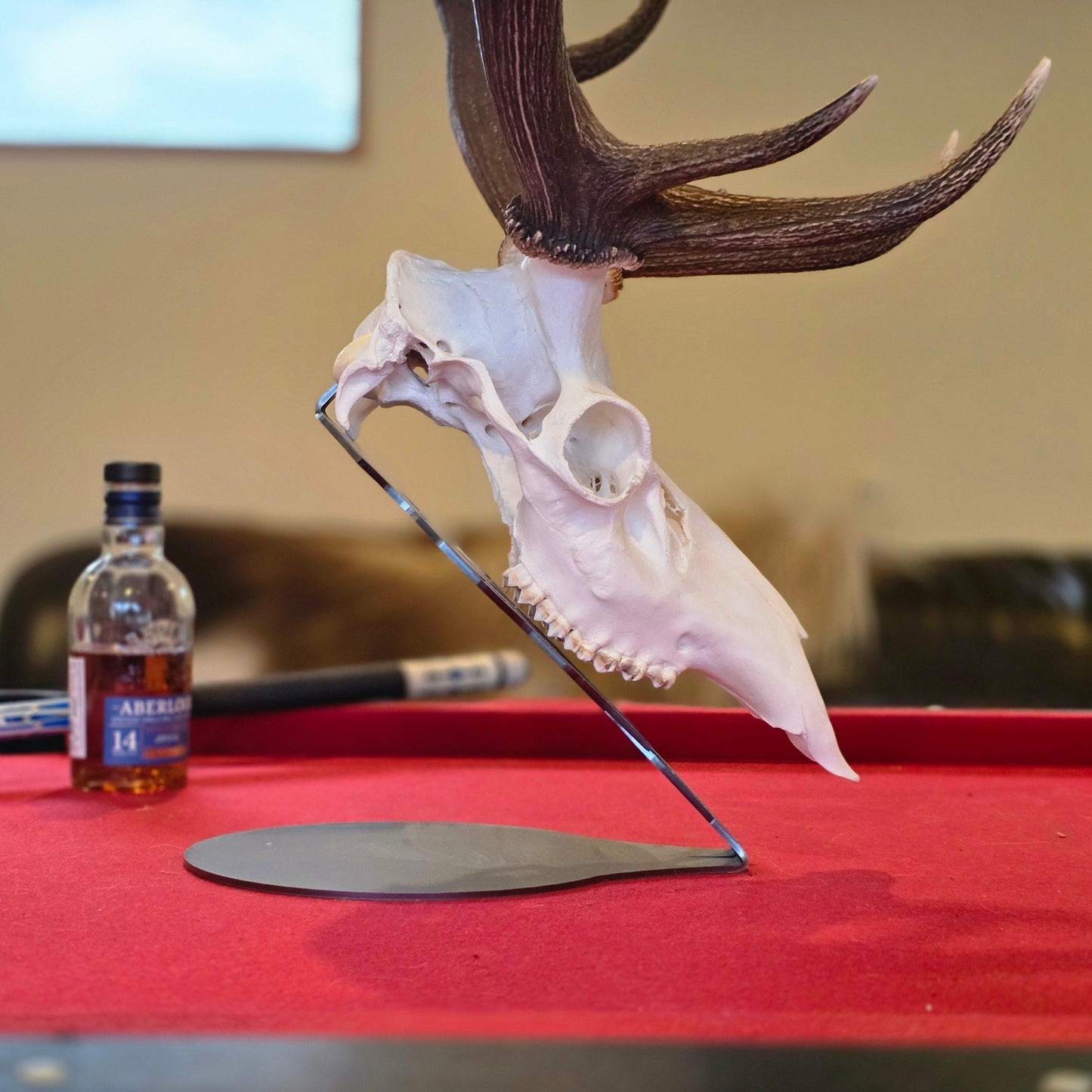 Deer skull on a stand with a bottle of alcohol on a red surface